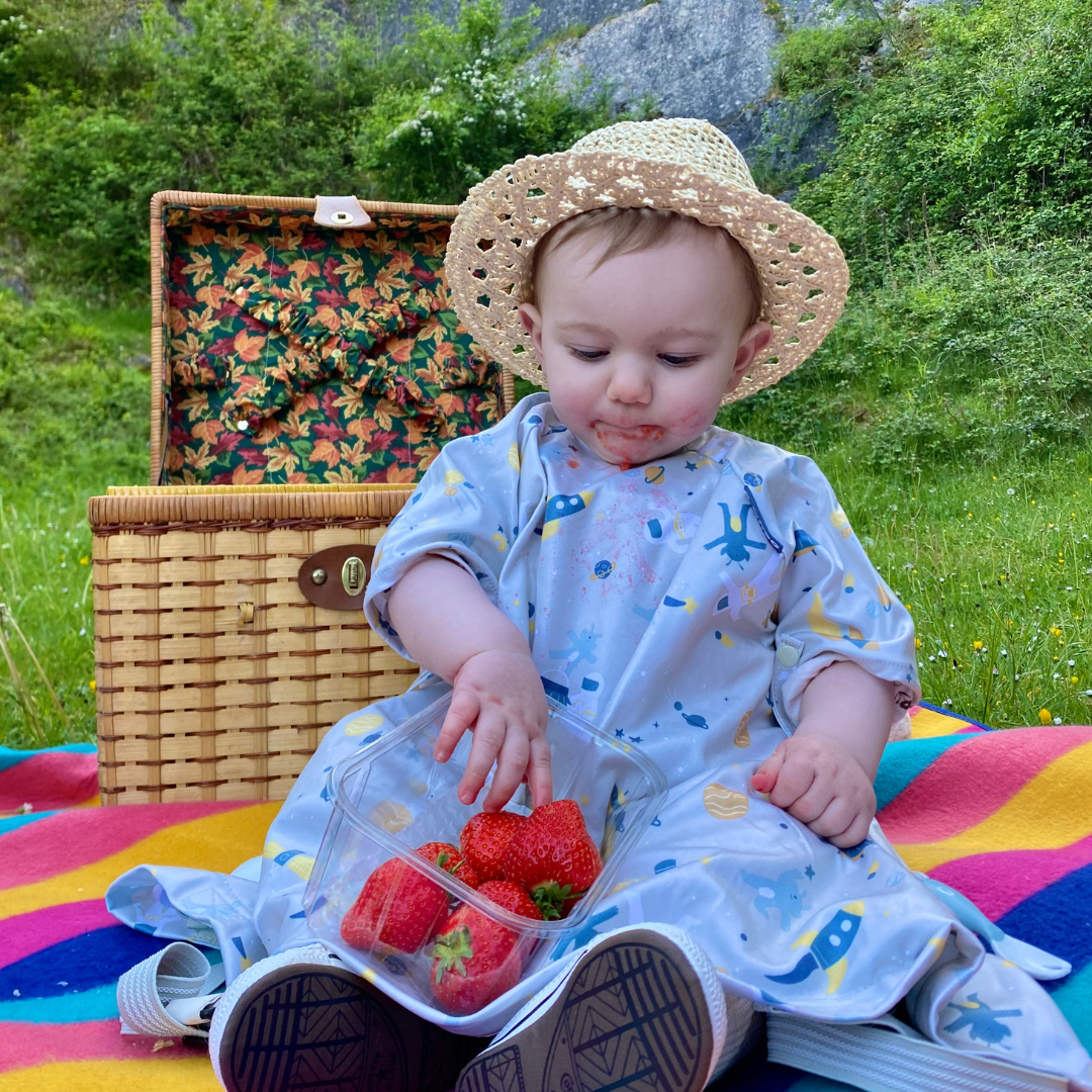7 Steps to Baby-Led Weaning Picnic Success