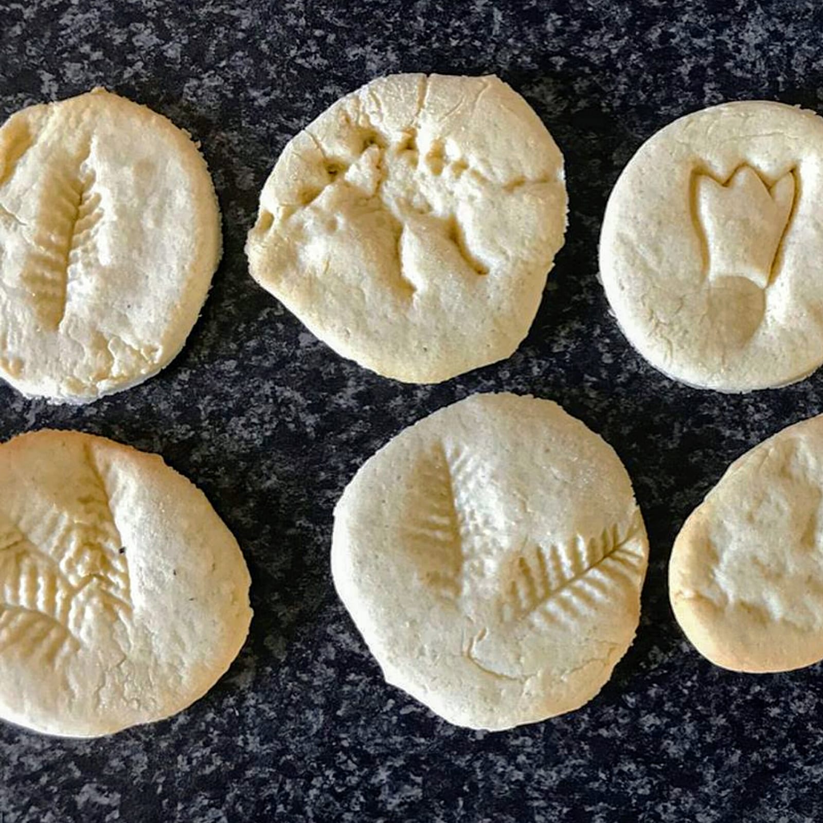 Dino Print Biscuits