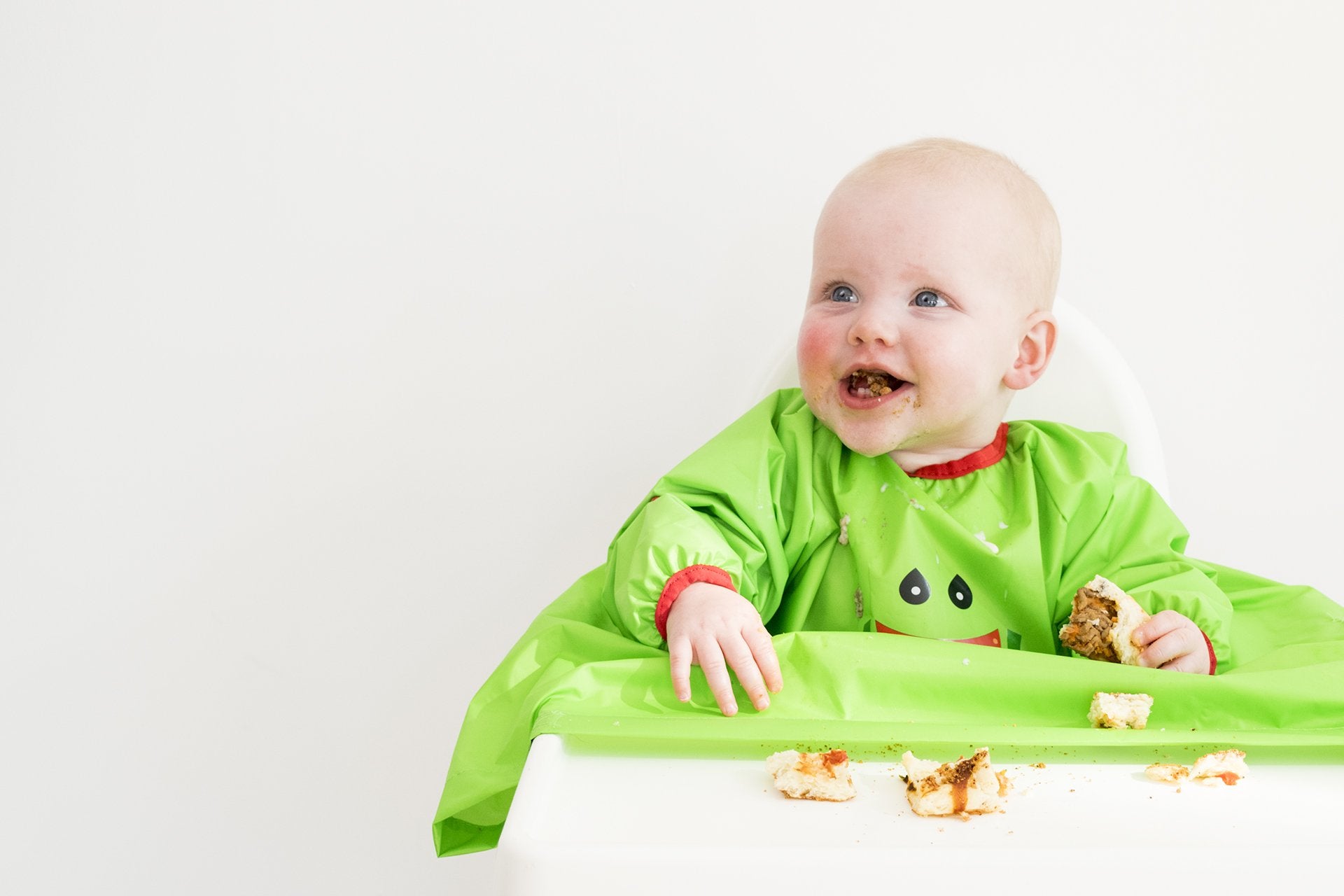What Is Baby Led Weaning? by Gill Rapley and Tracey Murkett